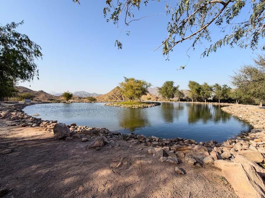 From Dubai: Hatta Sightseeing Tour with kayaking - What the guiding adds to the day