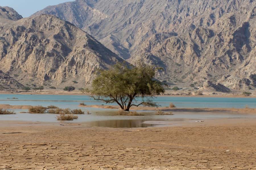 From Dubai: Jabel Jais High Mountain Tour with Transfers - FAQ