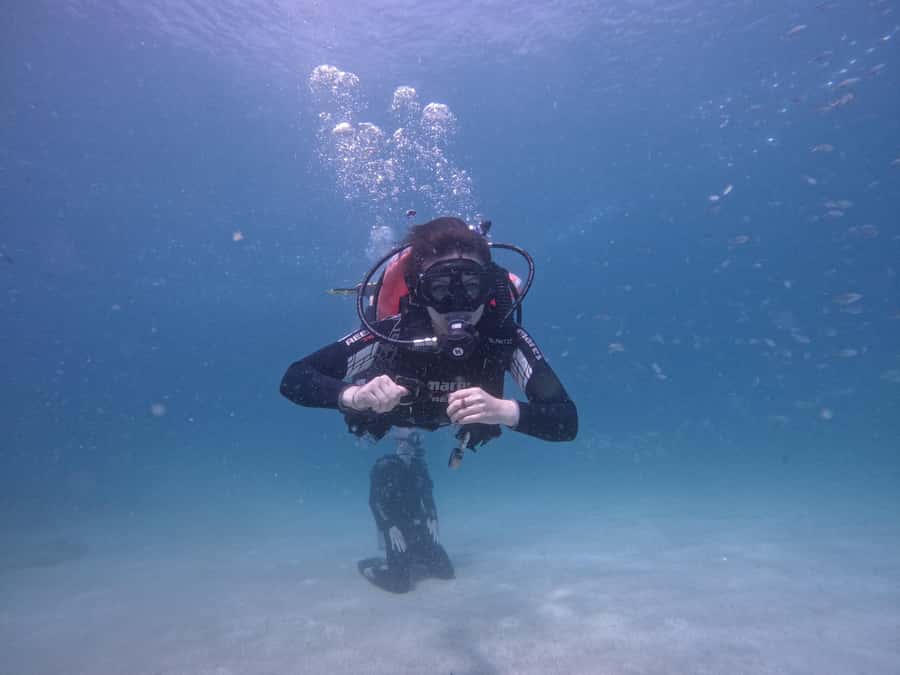 From Dubai: Try Scuba Diving, Snorkeling with BBQ & Transfer - Key points to know before booking