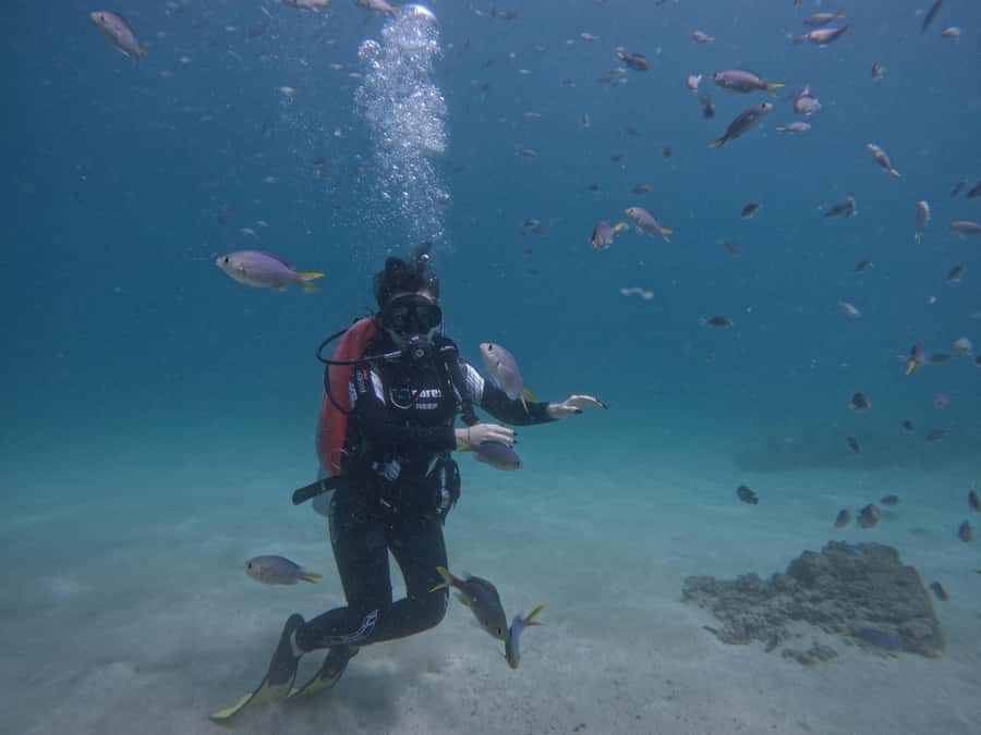 From Dubai: Try Scuba Diving, Snorkeling with BBQ & Transfer - Why Fujairah is worth the early start