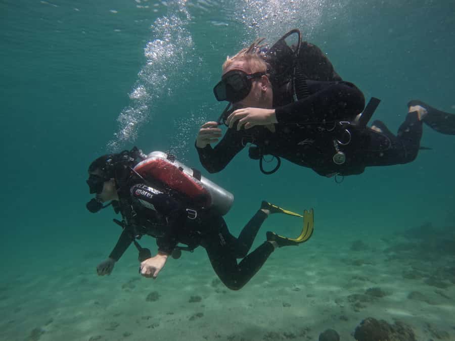 From Dubai: Try Scuba Diving, Snorkeling with BBQ & Transfer - Sharm Rocks adds a second look at the reefs