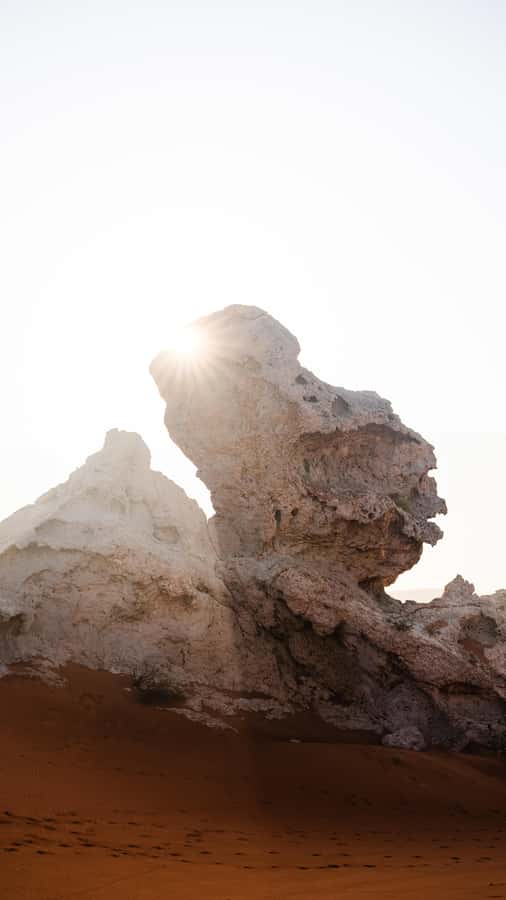 From Dubai: Zerzura Dune Buggy Experience & Fossil Discovery - A short camel ride to finish