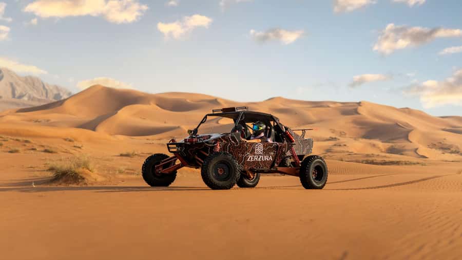 From Dubai: Zerzura Dune Buggy Experience & Fossil Discovery - Who should book this experience?