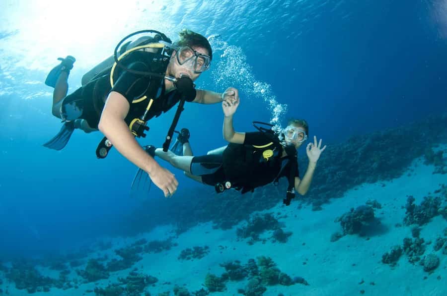 Fujairah: 2 Fun Dive Experience for Certified Divers - Key points at a glance