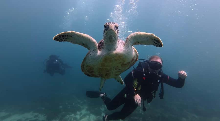 Fujairah: 2 Fun Dive Experience for Certified Divers - Getting from Dubai to Dibba