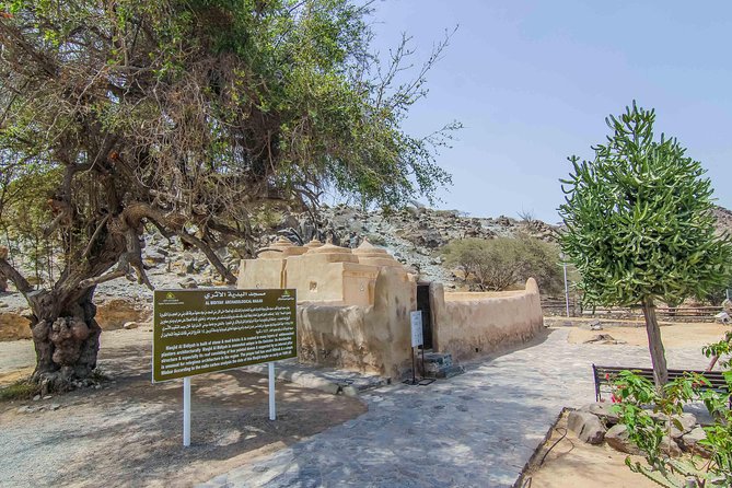 Fujairah Private day trip from Dubai with Lunch - Who should book this Fujairah day trip?