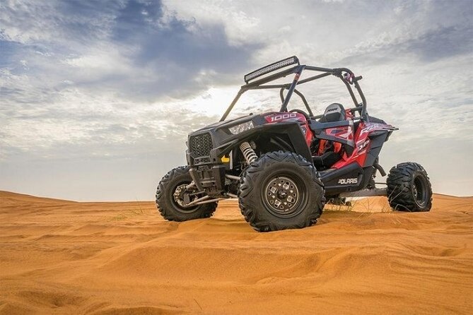 Full-Day Desert Safari with Dune Buggy Ride in Dubai - Who will enjoy this desert day