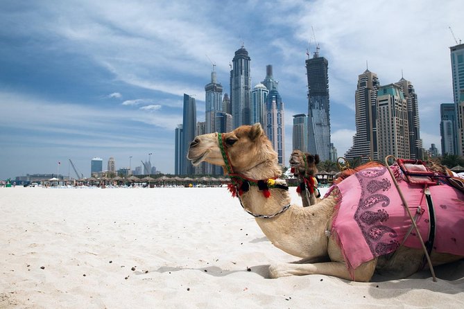 Full Day Dubai Tour with Lunch and Entry to Burj Khalifa - A fast route from Al Fahidi to Burj Khalifa