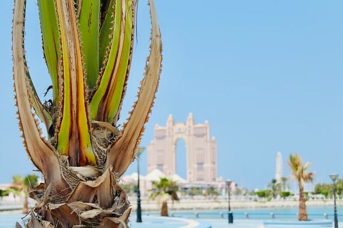 Full Day Private Tour in the UAE Capital - Sheikh Zayed Grand Mosque: the day’s essential stop
