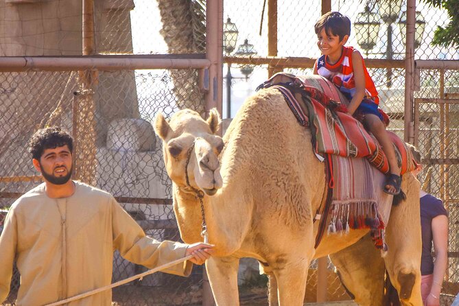 Full Day Small Group Abu Dhabi City Guided Tour - Abu Dhabi Mall: lunch with a practical compromise