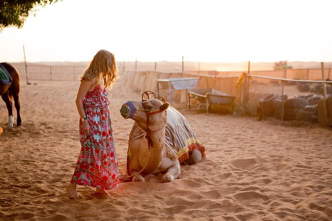 Half-Day Dubai Desert Safari With 7 Live Shows and BBQ Dinner - Seven shows, with tanoura, belly dance, and fire