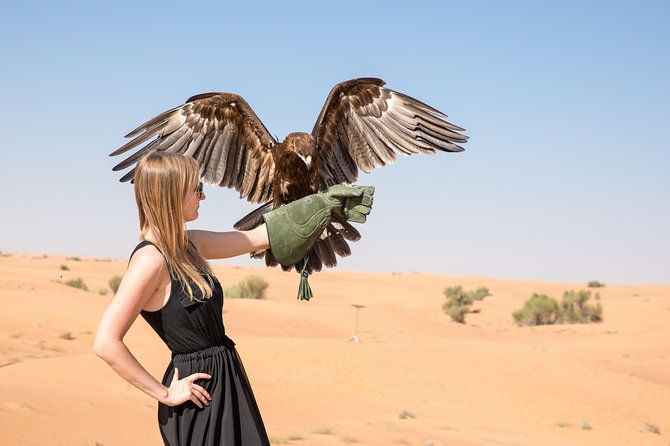 Half-Day Evening Desert Safari in Dubai with BBQ Dinner - Sunset Photos Above the Sand