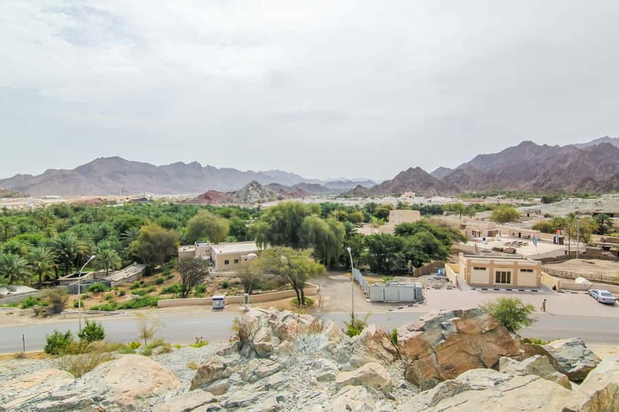 Hatta Safari & Honey Bee Garden Visit - Fossil Rock and the story in the stone