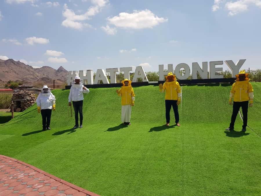 Hatta Safari & Honey Bee Garden Visit - Should you book the Hatta Safari and Honey Bee Garden visit?
