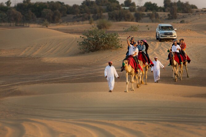 High Red Dunes with Camel Ride, Sandboarding, Falcon Show and VIP BBQ Dinner - Sunset, camel riding, and Bedouin-style seating