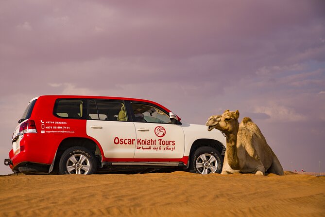 High Red Dunes with Camel Ride, Sandboarding, Falcon Show and VIP BBQ Dinner - Falconry, henna, and the camp program