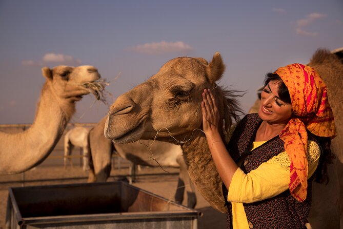 High Red Dunes with Camel Ride, Sandboarding, Falcon Show and VIP BBQ Dinner - The 30 to 45 minute red dune-bashing session