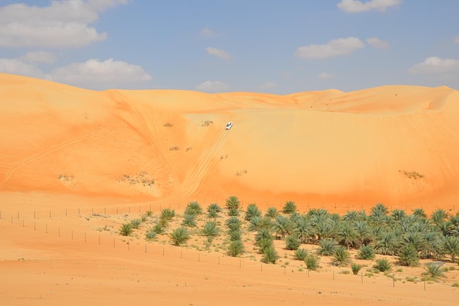 Liwa Full Day Desert Safari (exploring) - Key points for choosing the Liwa safari