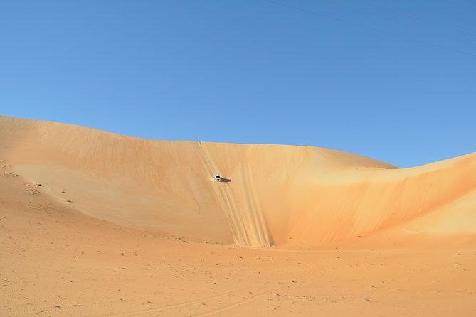 Liwa Full Day Desert Safari (exploring) - Sandboarding on a real dune