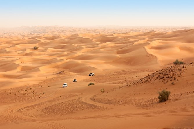 Liwa Full Day Desert Safari from Abu Dhabi - From Abu Dhabi to the Empty Quarter