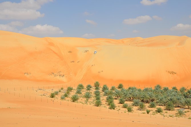 Liwa Full Day Desert Safari from Abu Dhabi - Seeing Liwa’s dunes beyond the city