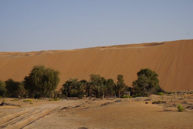 Liwa Full Day Desert Safari from Abu Dhabi - Who should book this Liwa safari?