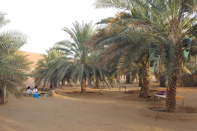 Liwa Oasis Desert Drive from Abu Dhabi - Price, timing, and practical value