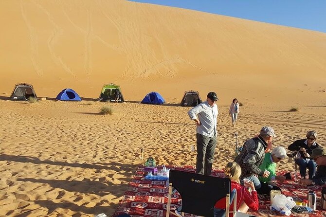 Liwa Over Night Safari - Sunset, stargazing, and setting up camp