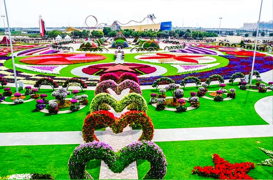 Miracle Flora & Fauna Marvels at Miracle Garden - Key points to know before booking