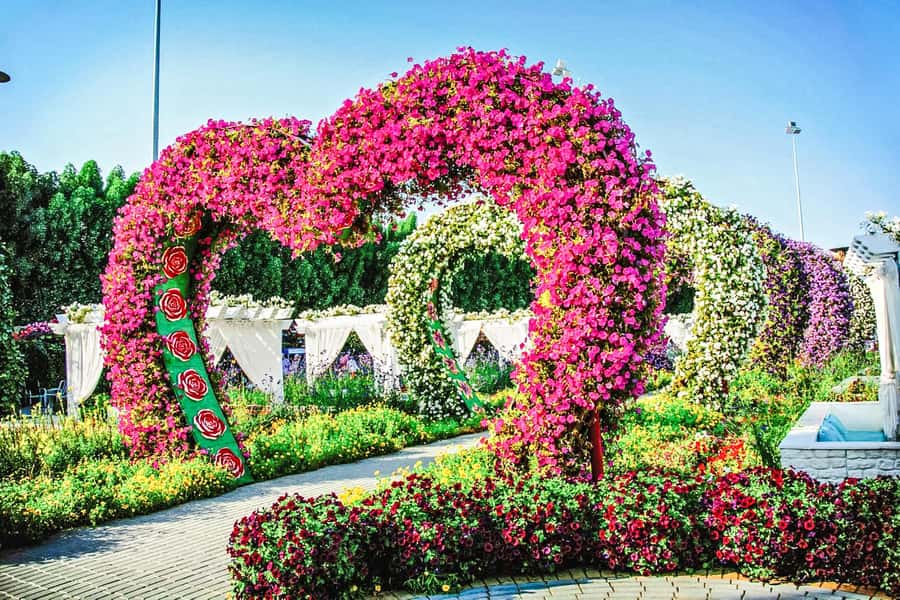 Miracle Flora & Fauna Marvels at Miracle Garden - The five-minute walk links two very different gardens