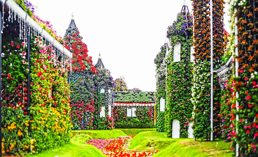 Miracle Flora & Fauna Marvels at Miracle Garden - Is $114 fair value for this half-day?