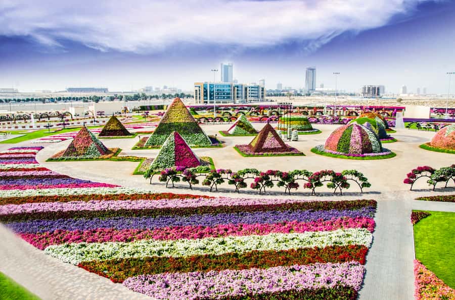 Miracle Flora & Fauna Marvels at Miracle Garden - Who will enjoy this garden combination most?