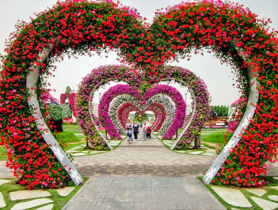 Miracle Flora & Fauna Marvels at Miracle Garden - Should you book the Miracle Flora and Fauna tour?