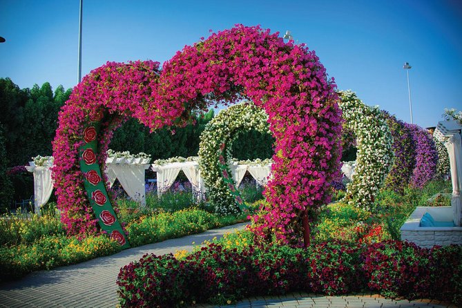 Miracle Garden: Dubai Flora and Fauna 4-Hour Tour - Two very different gardens in one afternoon