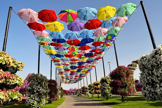 Miracle Garden: Dubai Flora and Fauna 4-Hour Tour - Who will enjoy this outing most