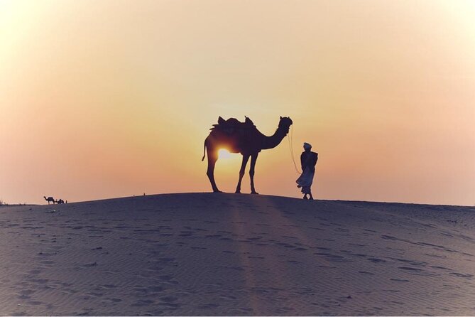 Morning Desert Safari, 25 Minutes ATV with 20 minutes Camel Ride - Dune bashing across Lahbab’s red sand