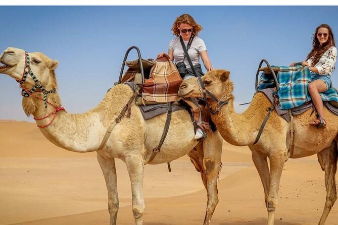 Morning Desert Safari, 25 Minutes ATV with 20 minutes Camel Ride - Who will enjoy this morning safari most
