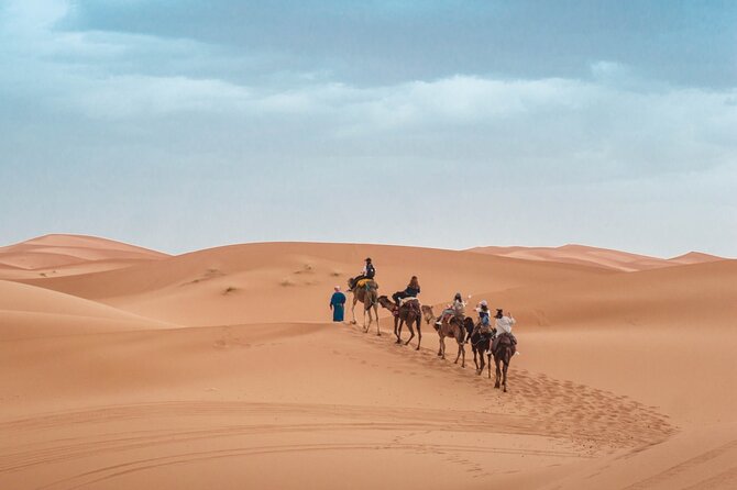 Morning Desert Safari From Abu Dhabi -Camel Ride,Sand Boarding,Camel Farm Visit - Visiting the camel farm
