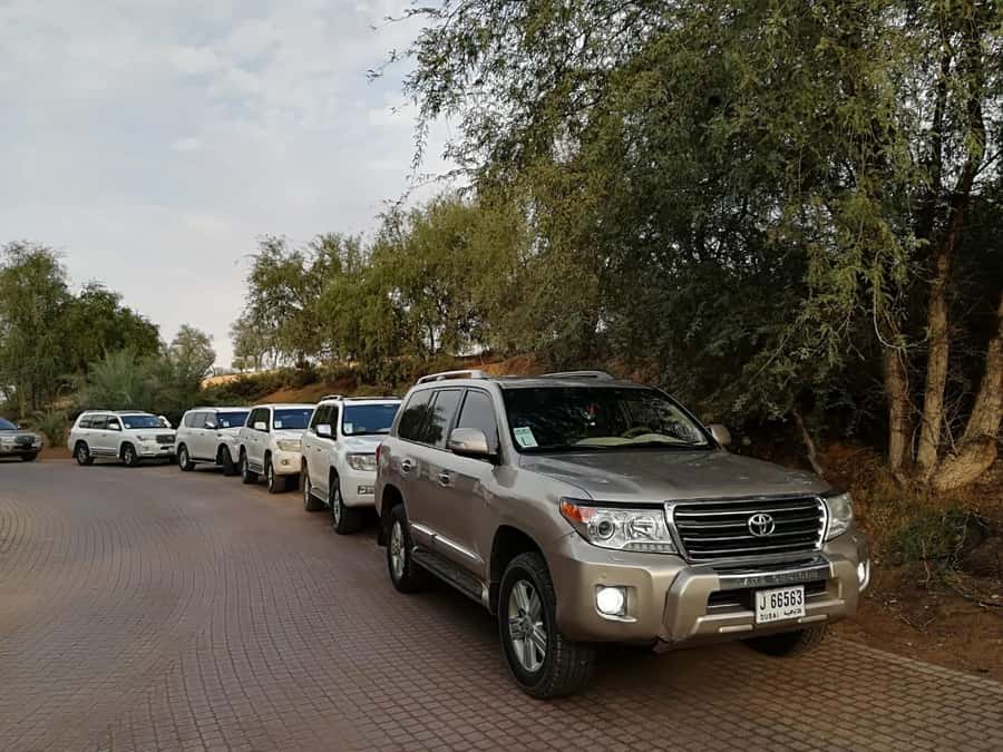 Morning Desert Safari in Ras Al Khaimah - The date farm stop and the question of season