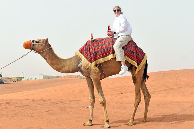 Morning Desert Safari, Quad Bike, Sandboard and Camel Ride - A camel farm with feeding and Arabic refreshments