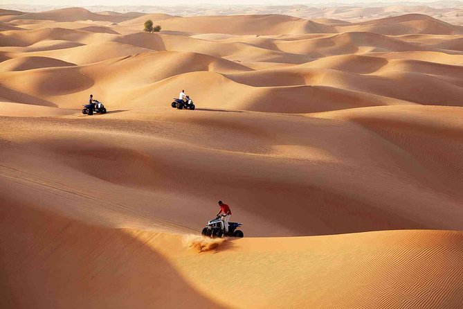 Morning Desert Safari with Quad Bike Tour Abu Dhabi - Timing, weather, and small practical details