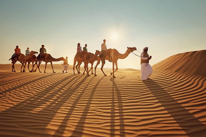 Morning Desert Safari with Quad Bike Tour Abu Dhabi - Which kind of visitor will enjoy this safari?