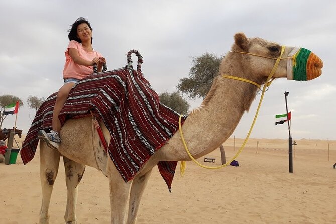 Morning Dubai desert safari - camel rides, quad bikes, dune buggies,dune bashing - Camel rides are often brief