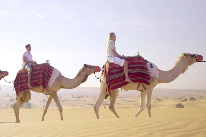 Morning Red Dunes Desert by Quad Bike, Dune Bashing, Camel Ride & Sandboarding - Dune bashing in a Land Cruiser
