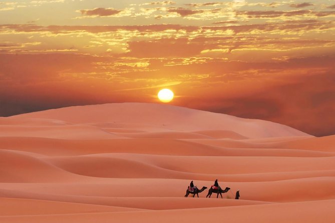 Morning Red Dunes Safari: Camel Ride & Sandboarding Adventure - An optional ATV ride changes the price and pace