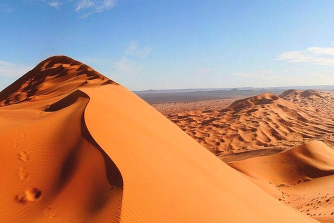 Morning Red Dunes Safari: Camel Ride & Sandboarding Adventure - Sandboarding gives you a hands-on desert activity