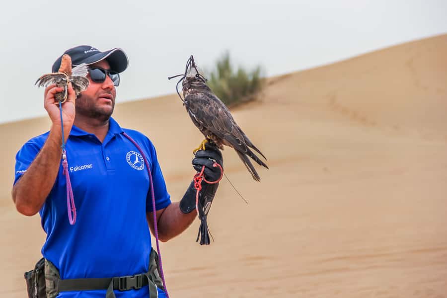 Overnight Dubai Desert Safari with BBQ Dinner - Sleeping in an igloo tent