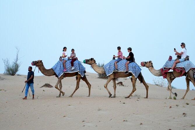 Premium Deluxe Dubai Safari with Camel Ride, Sandboard & BBQ - What dinner includes at the desert camp