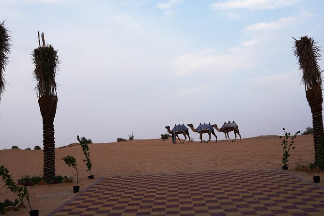 Premium Deluxe Dubai Safari with Camel Ride, Sandboard & BBQ - Who will enjoy this safari most