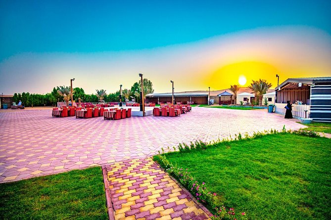 Premium Desert Safari Sharing Transfer with 5<em> Unlimited Buffet – Key points before you book’ /></p>
<ul>
<li><strong>Red-dune driving:</strong> Expect 25 to 30 minutes of energetic dune bashing in a Land Cruiser.</li>
<li><strong>Shared transport:</strong> The vehicle holds up to six people, with pickup and drop-off from Dubai hotels, private rentals, or the port.</li>
<li><strong>Short camel ride:</strong> A basic ride is included, but longer rides may cost extra.</li>
<li><strong>Large evening buffet:</strong> Vegetarian and non-vegetarian choices, soft drinks, water, Arabic coffee, tea, and dates are included.</li>
<li><strong>Six entertainment shows:</strong> Tanoura spinning and a fire show are advertised, with belly dancing subject to program changes.</li>
<li><strong>Seven-hour outing:</strong> The listed start time is 4:00 pm, with the return in the evening.</li>
</ul>
<h2>Red dunes and a roller-coaster ride</h2>
<p><img width="669" height="446" decoding="async" src=